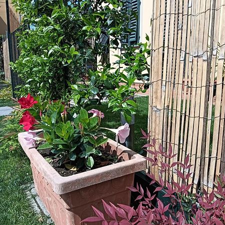Casa Vacanze Rustico Di Corte 卡潘诺里 外观 照片
