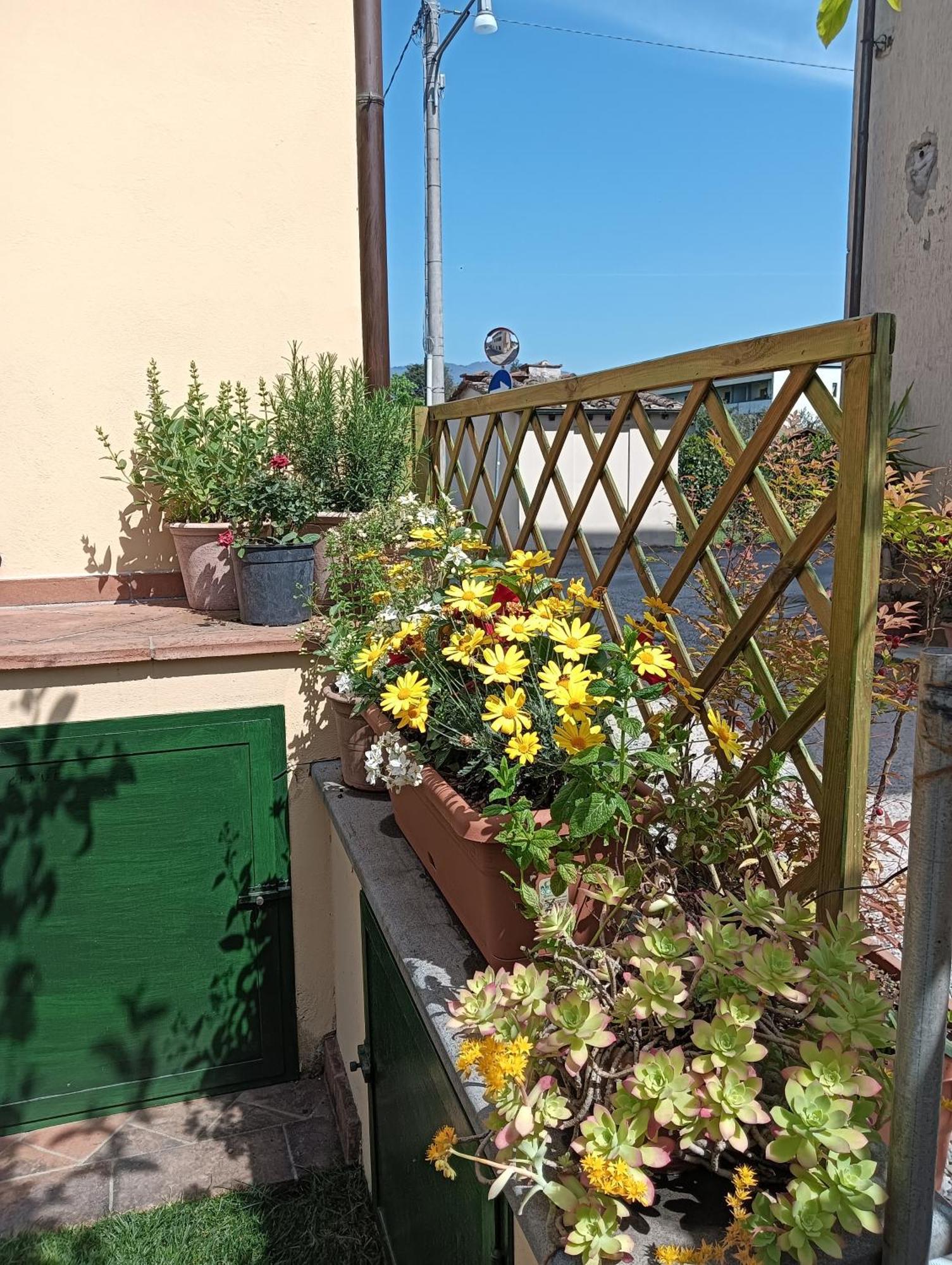 Casa Vacanze Rustico Di Corte 卡潘诺里 外观 照片